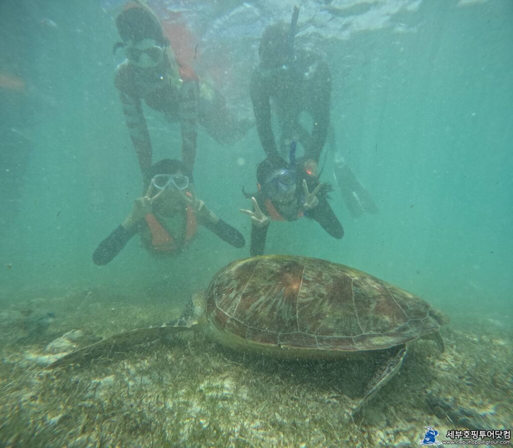 반전날씨를 보여준 세부 오슬롭 모알보알 투어 - 2023년 10월 27일