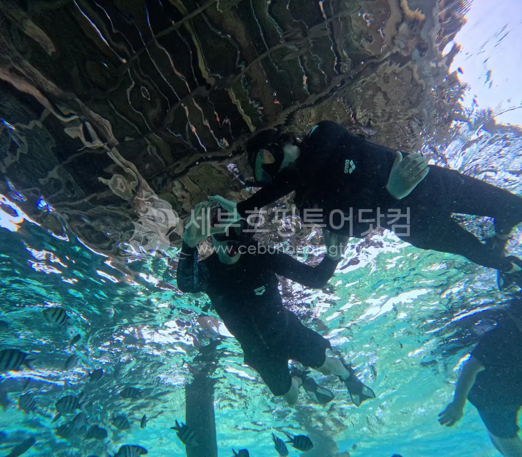 세부호핑투어 필수코스 날루수안 해양공원