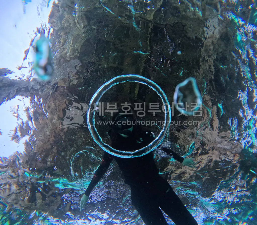 세부호핑투어 필수코스 날루수안 해양공원