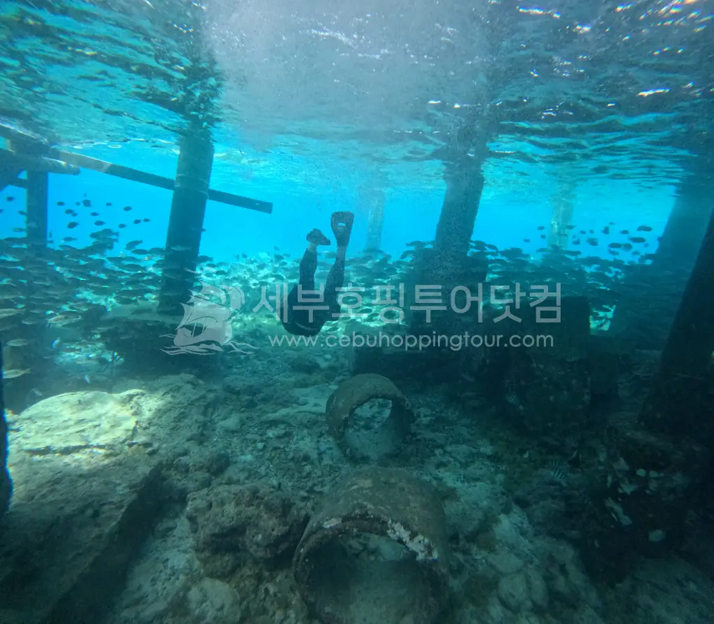 너무 좋은 날의 세부호핑투어 - 커플 단독투어