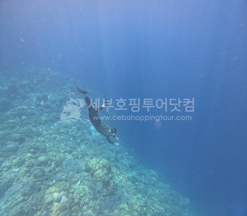 너무 좋은 날의 세부호핑투어 - 커플 단독투어