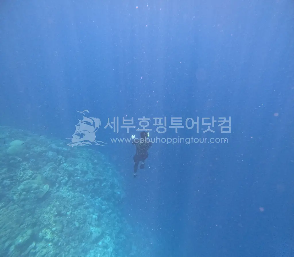 너무 좋은 날의 세부호핑투어 - 커플 단독투어