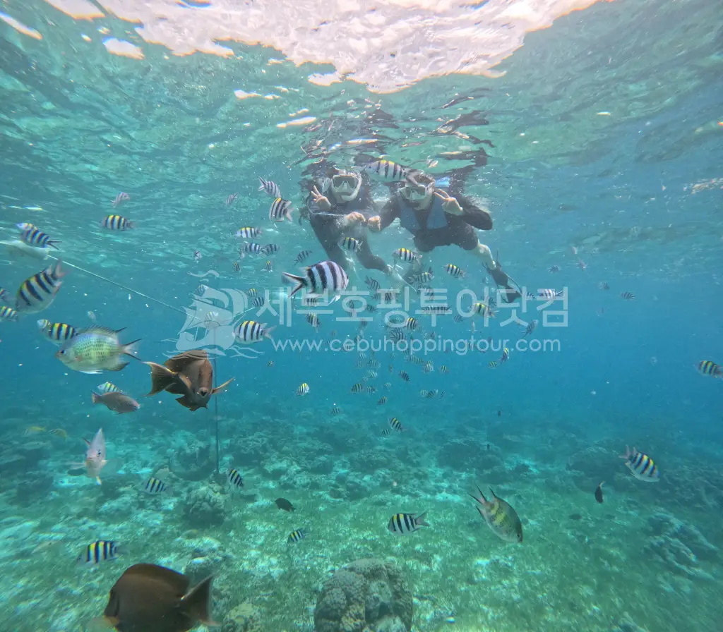 커플세부여행-호핑투어