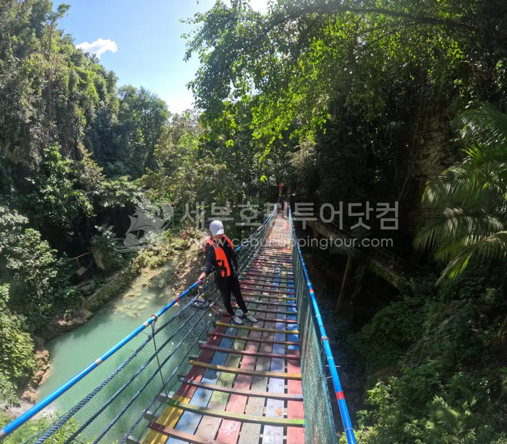 커플세부여행-고래상어 투어